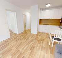 2-room apartment with parquet floors, a white kitchen, and a dining table with chairs.
