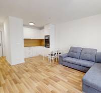 Living room in a 2-room apartment with a kitchen, sofa, and dining table.
