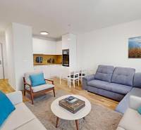 Living room in a two-room apartment with sofas, a coffee table, and a kitchen.
