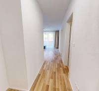 A bright hallway with wooden flooring in a 2-room apartment.
