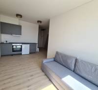 Interior of a one-room apartment with a kitchenette and a gray convertible sofa.