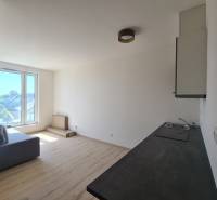 Bright living room with a kitchenette in a studio apartment, wooden floors, large window.