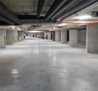Underground garage with parking spaces and concrete columns in a studio apartment.