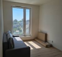 Studio apartment with a sofa, large window, and a view of the houses.