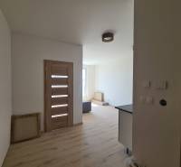 Interior of a 1-room apartment with wooden flooring, doors, and white walls.