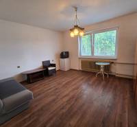 Living room in a family house with wooden flooring, a sofa, and a window.