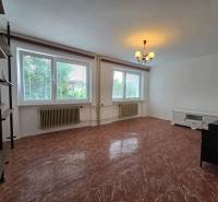 Living room in a family house, with white walls and a red floor, two windows, and furniture.