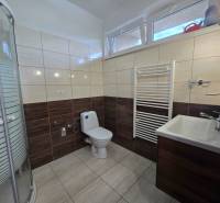 Bathroom in a family house with a toilet, sink, and shower.