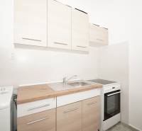Kitchen corner with sink, washing machine, and hob in the office.