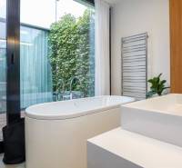 A bathroom in a family house with a bathtub, a plant, and a large window.