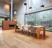 Interior of a family house with a large table, fireplace, and plenty of natural light.