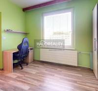 Room in a 2-room apartment with a desk, chair, green wall, and window.