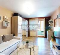 Living room in a 2-room apartment with a sofa, table, bookshelf, and television.