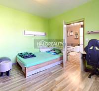 A room in a 2-room apartment with a wooden floor, green walls, and a workspace.