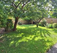 The garden of a family house on Šalská Street in Šaľa with a lawn and trees.