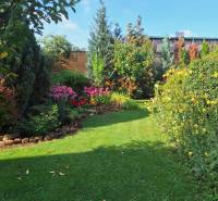 A garden with flower beds and trees behind a family house on Šalská Street in Šaľa.