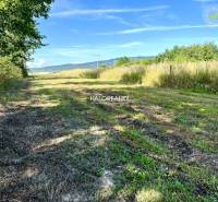 A grassy path between fields and trees in Kolibabovce, ideal for residential plots.