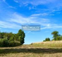 Plots - living in Kolibabovce, sunny landscape with blue sky and greenery.