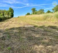 The plots - housing in Kolibabovce offer a vast grassy area with surrounding nature.