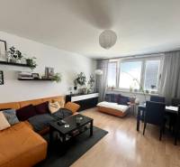 3-room apartment with a comfortable sofa, dining table, and houseplants.