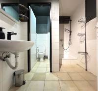 Bathroom with shower and toilet in a 4-room apartment.
