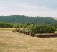 Garden in Krupina on Kopanice Street, Family house, with raised beds and landscape.