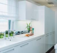A kitchen in a family house with white cabinets, a sink, and green plants in the interior.