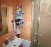 Bathroom in a 2-room apartment with a shower, sink, and cleaning products.
