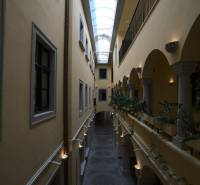 A hallway in offices with a glass roof and plants.