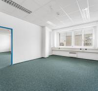 Offices with large windows and empty space, white walls, and green carpet.