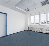 View from an office with light-colored walls and blue carpet, overlooking Bratislava Castle.