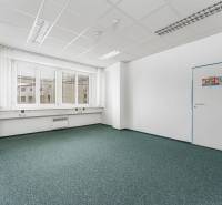 Empty office with carpet and windows, white walls, green carpet.