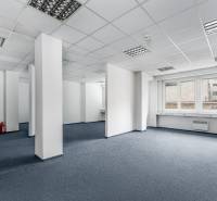 Empty offices with white walls and blue carpet, available for rent.