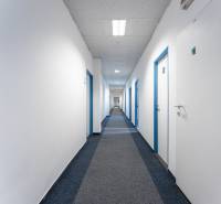 A long corridor with closed office doors with white walls and blue frames.