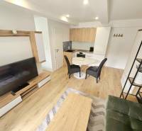 Living area with a kitchenette, wooden floors, dining table, and TV unit.