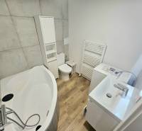 A bathroom with an oval bathtub, toilet, and washing machine in a studio apartment.