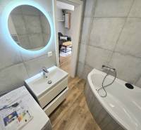 Bathroom with a bathtub, sink, washing machine, and LED lighting in a studio apartment.