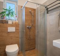 Bathroom in a family house with a toilet, shower, and a window with a flower.