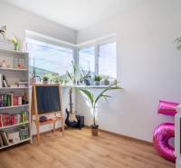 A bookstore, a blackboard, and a guitar in the interior of a family house with plants on the windowsill.