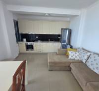 Recreational apartment with a kitchenette, sofa, and dining table.