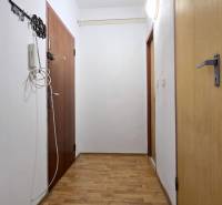 A hallway with a wooden floor in a 3-room apartment, with doors and a hanging hook.
