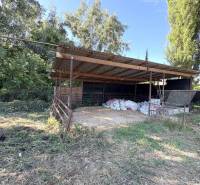 A covered warehouse with a light structure surrounded by greenery in Marcelová.