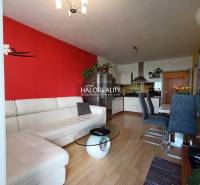 Living room with a red wall, white sofa, and kitchen in a two-room apartment.