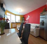 Living room in a two-room apartment with colorful walls, a sofa, and a dining table.