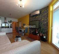 Living room with a kitchen in a 2-room apartment, with yellow walls and wooden flooring.