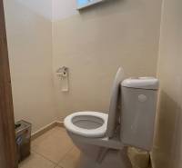 A toilet in a family house with simple equipment.
