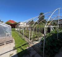 A garden at a family house in Komárno with a greenhouse and a structure for cultivation.