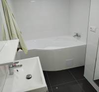 A bathroom in a family house with a shower and a dark floor.