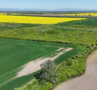 Agricultural and forest lands in Zemplínske Kopčany with colorful fields and a line of power poles.
