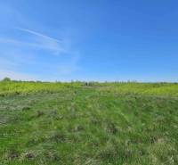 Green agricultural and forest lands in Zemplínske Kopčany with a clear blue sky.
